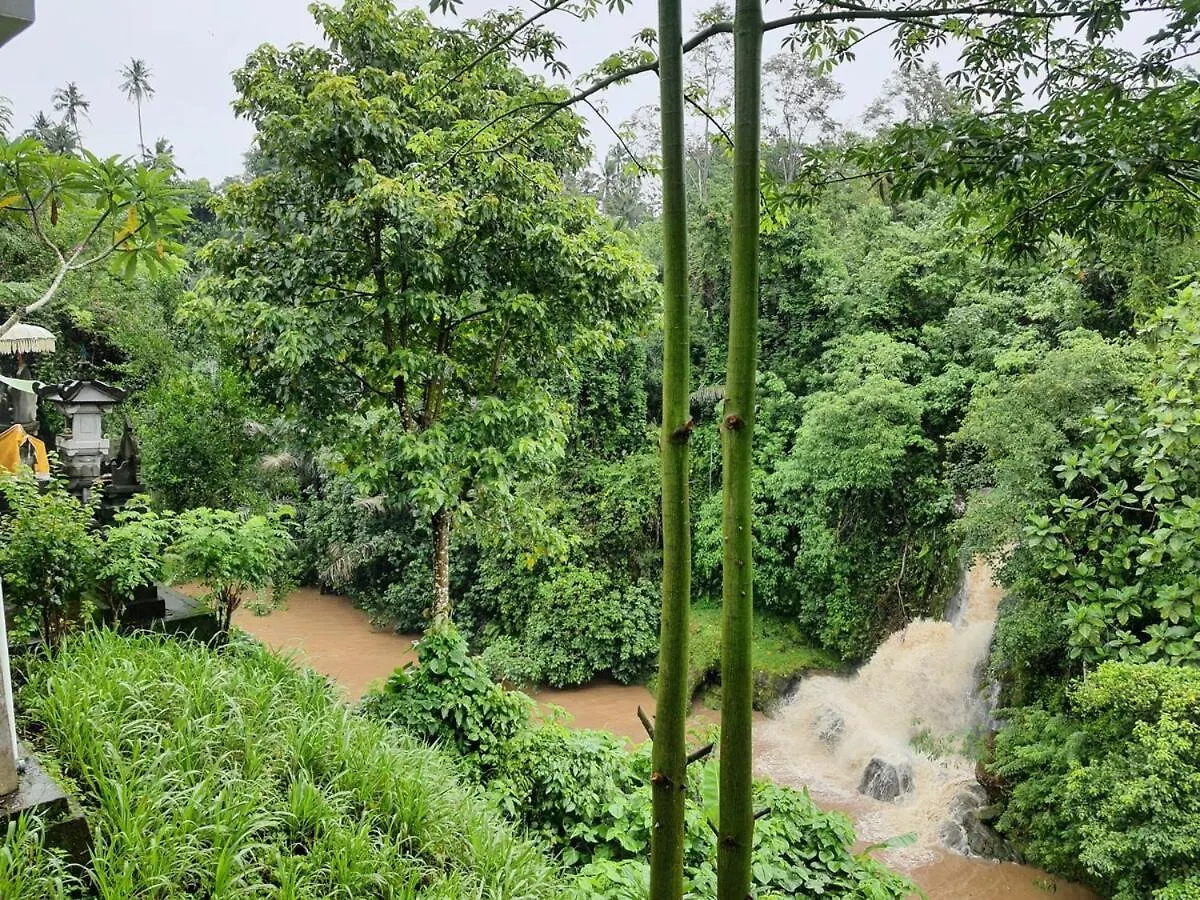 Iv'Room Ubud  Indonesia