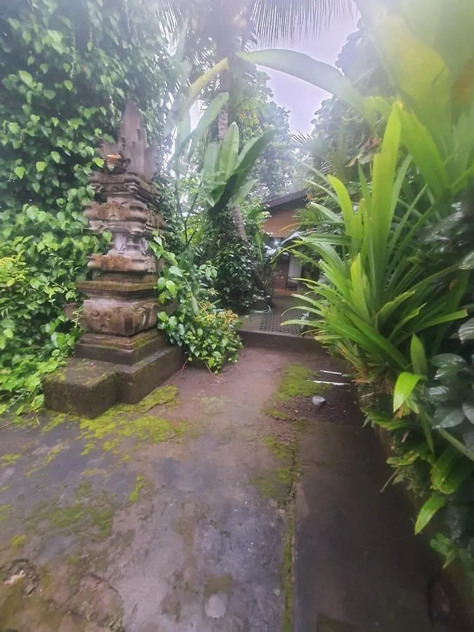 Iv'Room Ubud  Indonesia